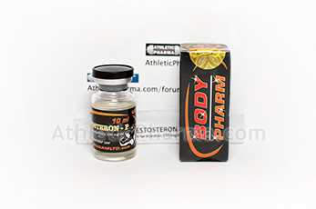 Testosteron-P BodyPharm