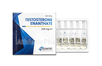 Testosterone Enanthate (Genetic) 1ml