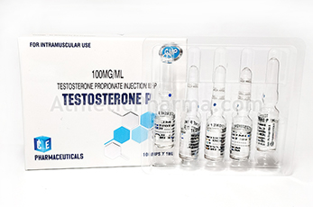 Testosterone P (Ice) 1ml